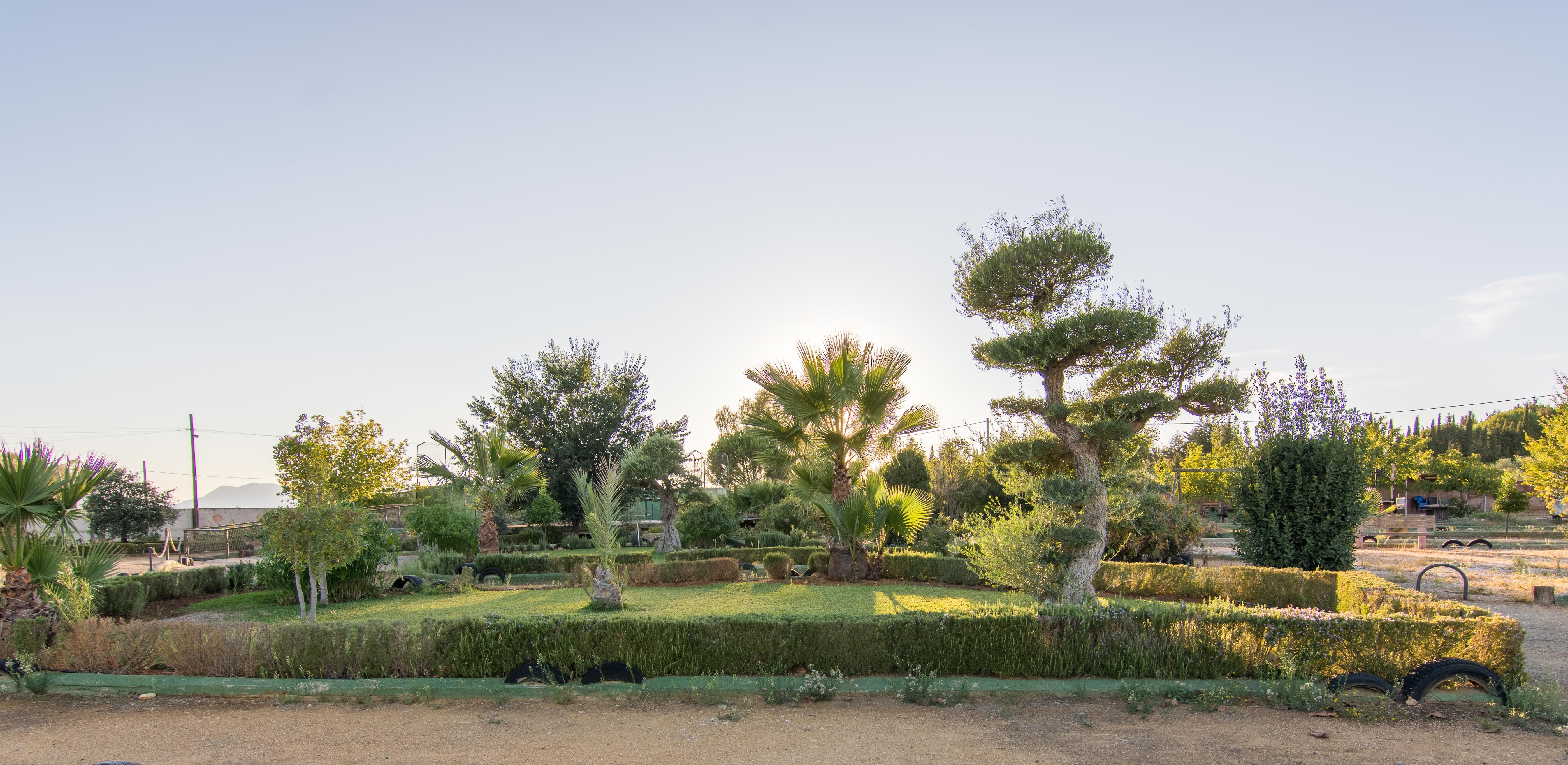 Hotel Rural El Cortijo Ronda Eksteriør billede